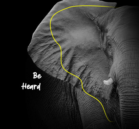 Croquis d'illustration par GAX